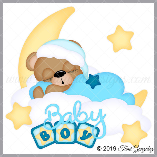 Baby Boy Bear