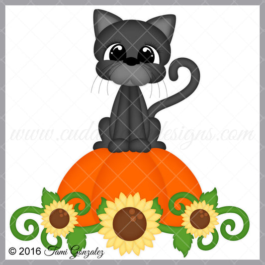 Black Cat and Pumpkin