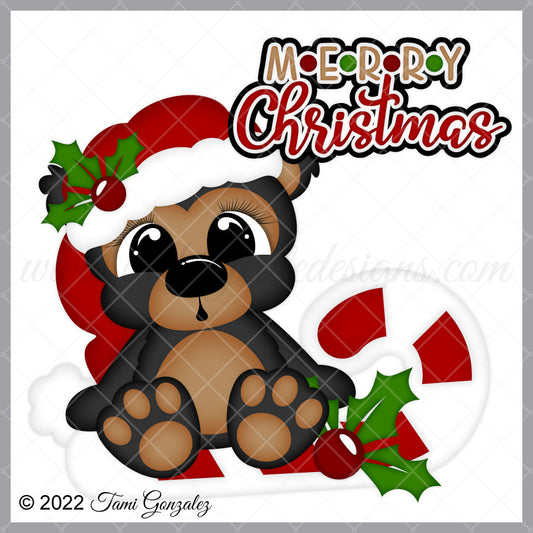 Candy Cane Bear