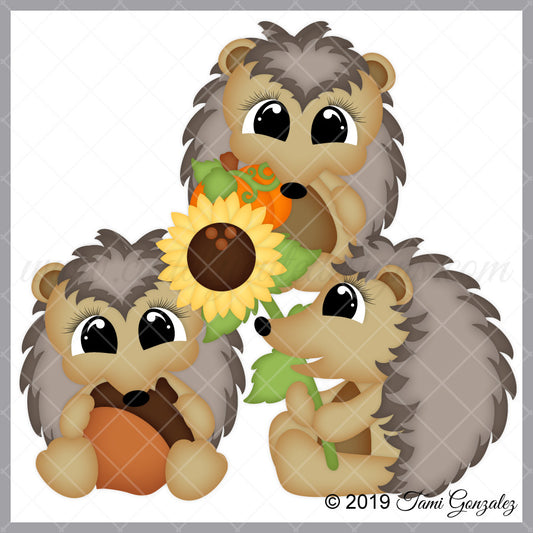 Fall Hedgehogs