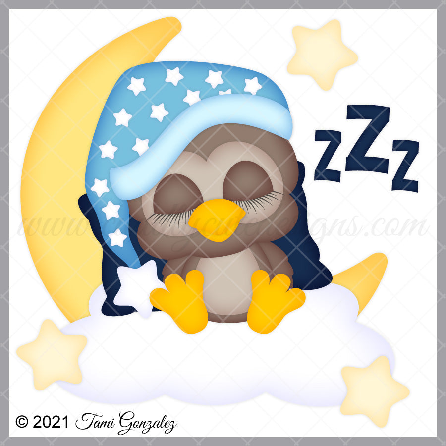 Night Owl
