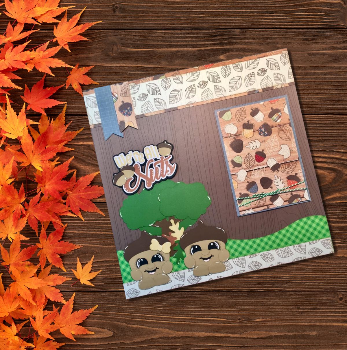 Acorn Cuties