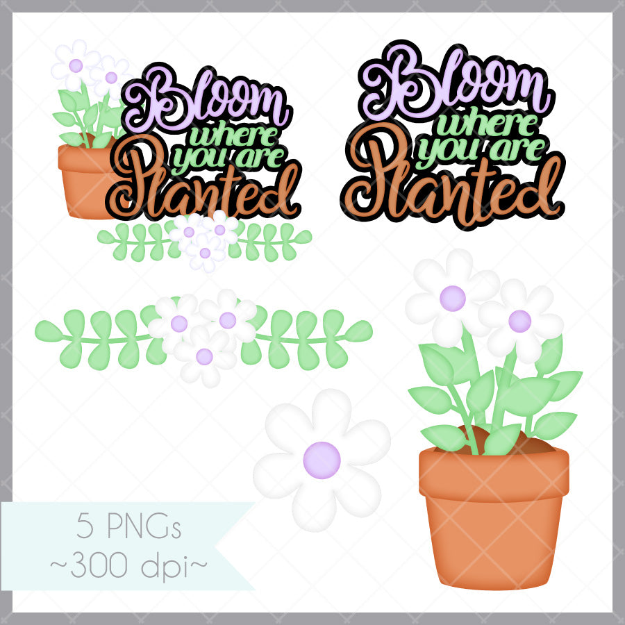 Bloom Title