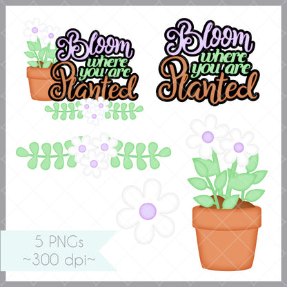 Bloom Title