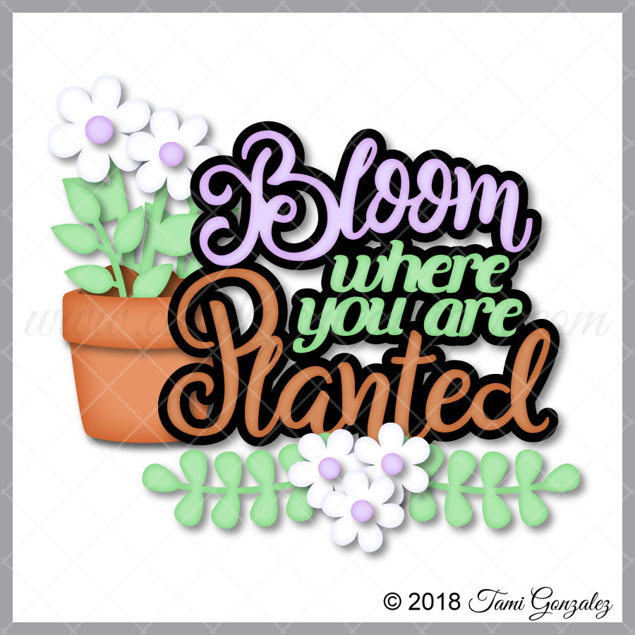 Bloom Title