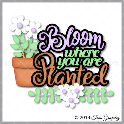 Bloom Title