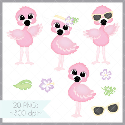 Flamingo Family