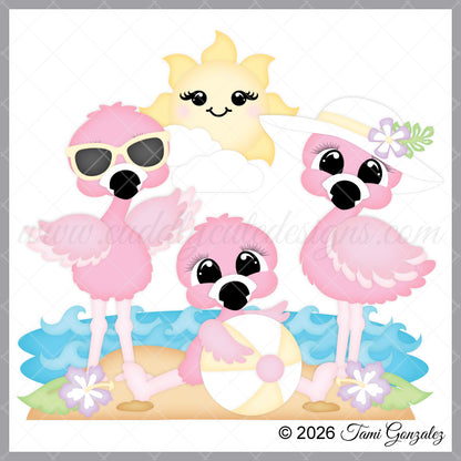 Flamingo Family