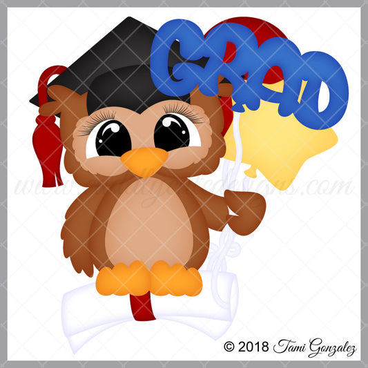 Grad Balloons Owl