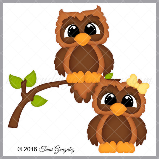 Owls