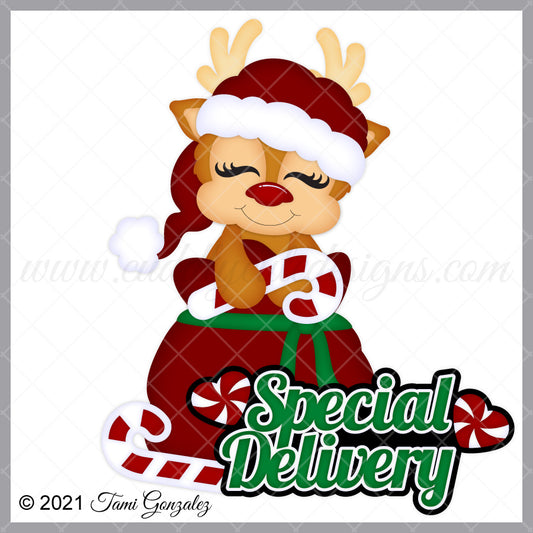 Special Delivery Reindeer