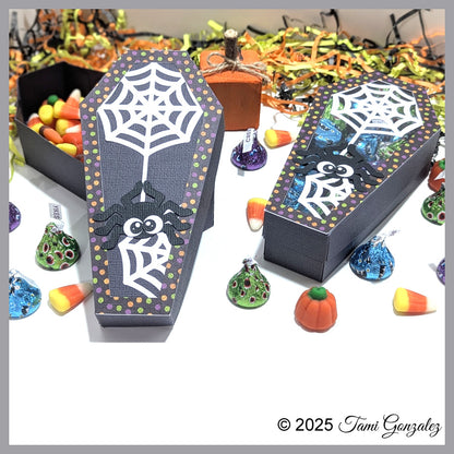 Spider Coffin Box