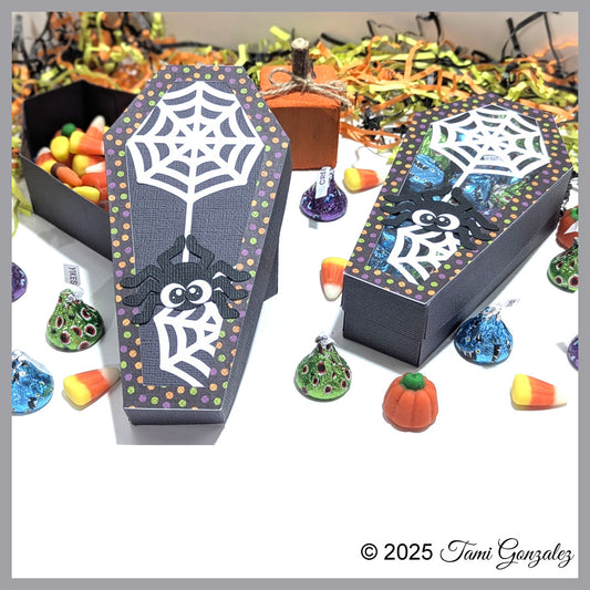 Spider Coffin Box