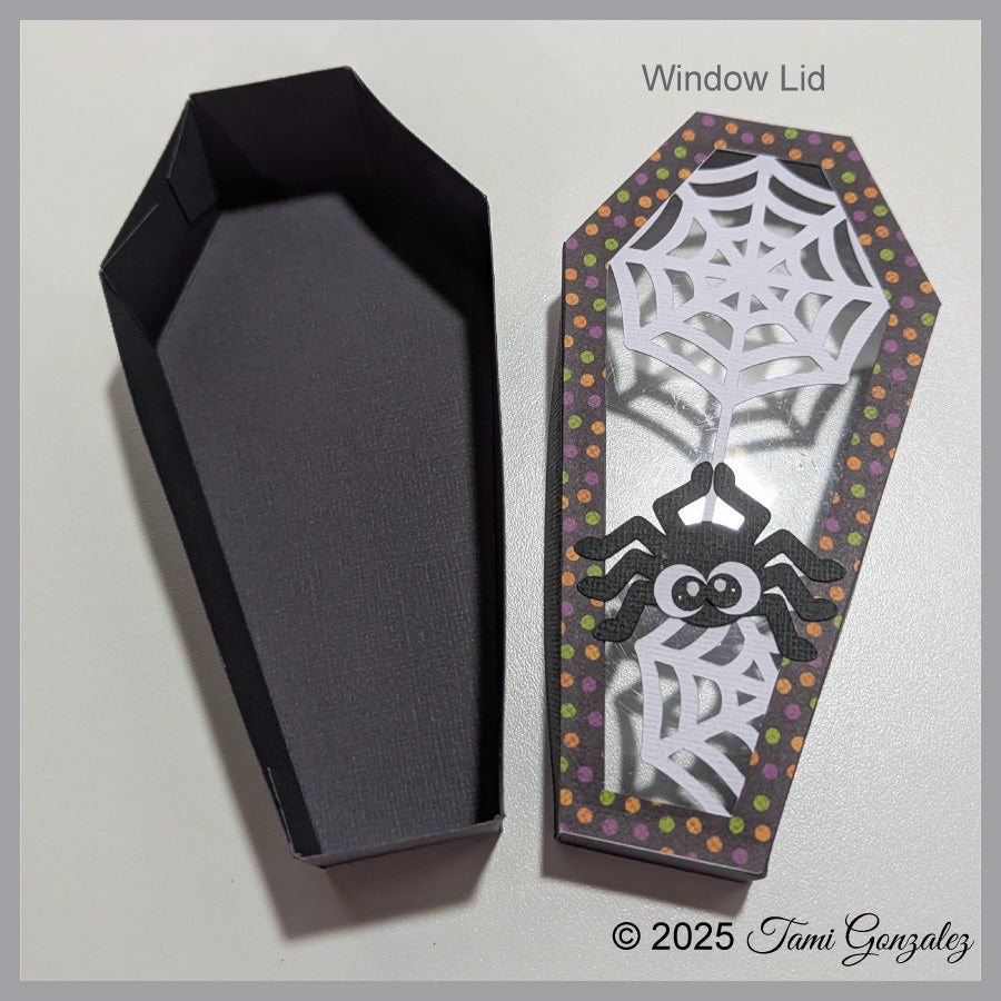 Spider Coffin Box