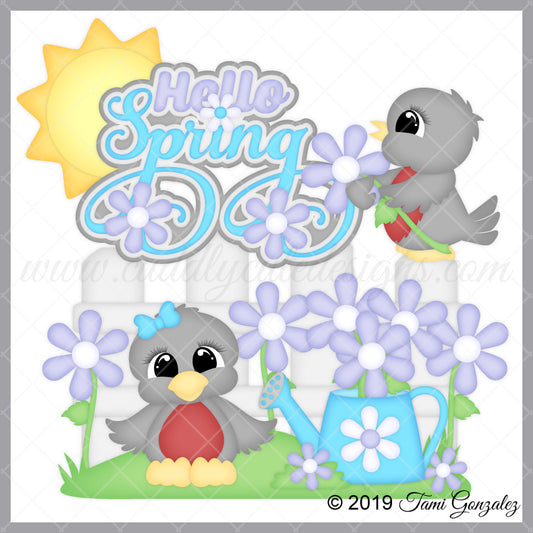 Spring Robins