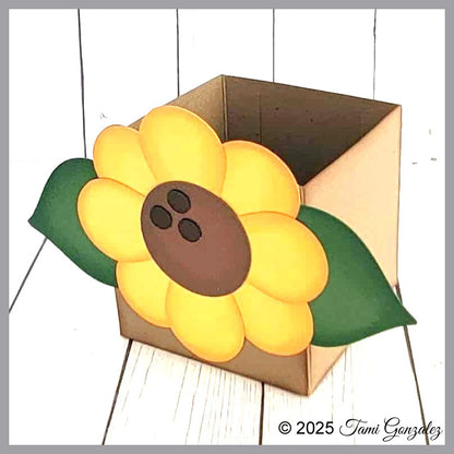 Thanksgiving Treat Boxes