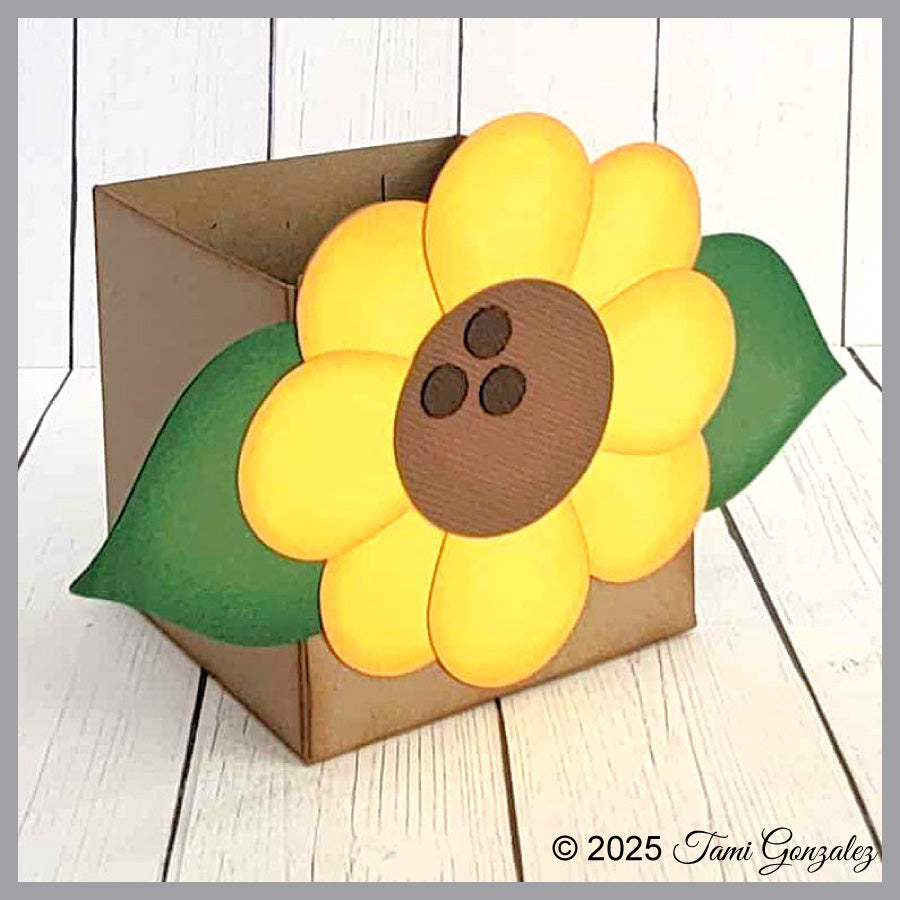 Thanksgiving Treat Boxes