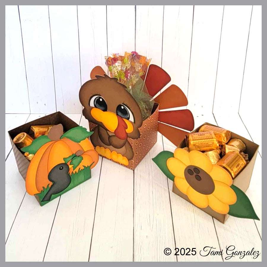 Thanksgiving Treat Boxes